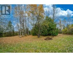 1206 County Rd 1 W, Greater Napanee, ON K7R3L1 Photo 41