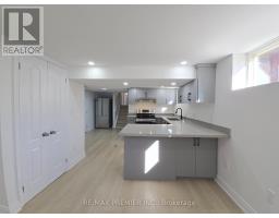 B-basement - 26 Ironwood Road, Toronto, ON M9M2A5 Photo 8