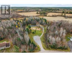 56 Sufian Street, Laurentian Valley, ON K8A6W6 Photo 47