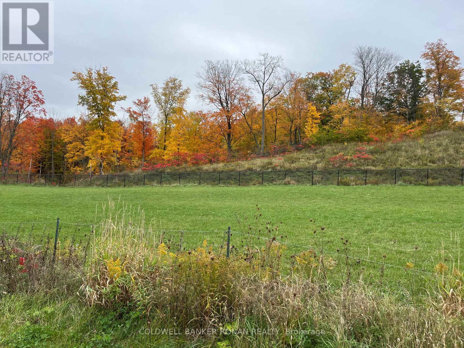 46 Terrain Court, East Gwillimbury, ON photo 8