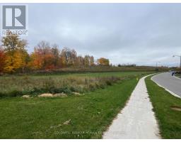 46 Terrain Court, East Gwillimbury, ON L9N0T2 Photo 10