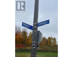46 Terrain Court, East Gwillimbury, ON L9N0T2 Photo 11