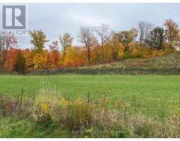 46 Terrain Court, East Gwillimbury, ON L9N0T2 Photo 8