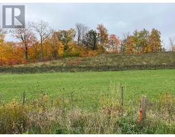 46 Terrain Court, East Gwillimbury, ON L9N0T2 Photo 9