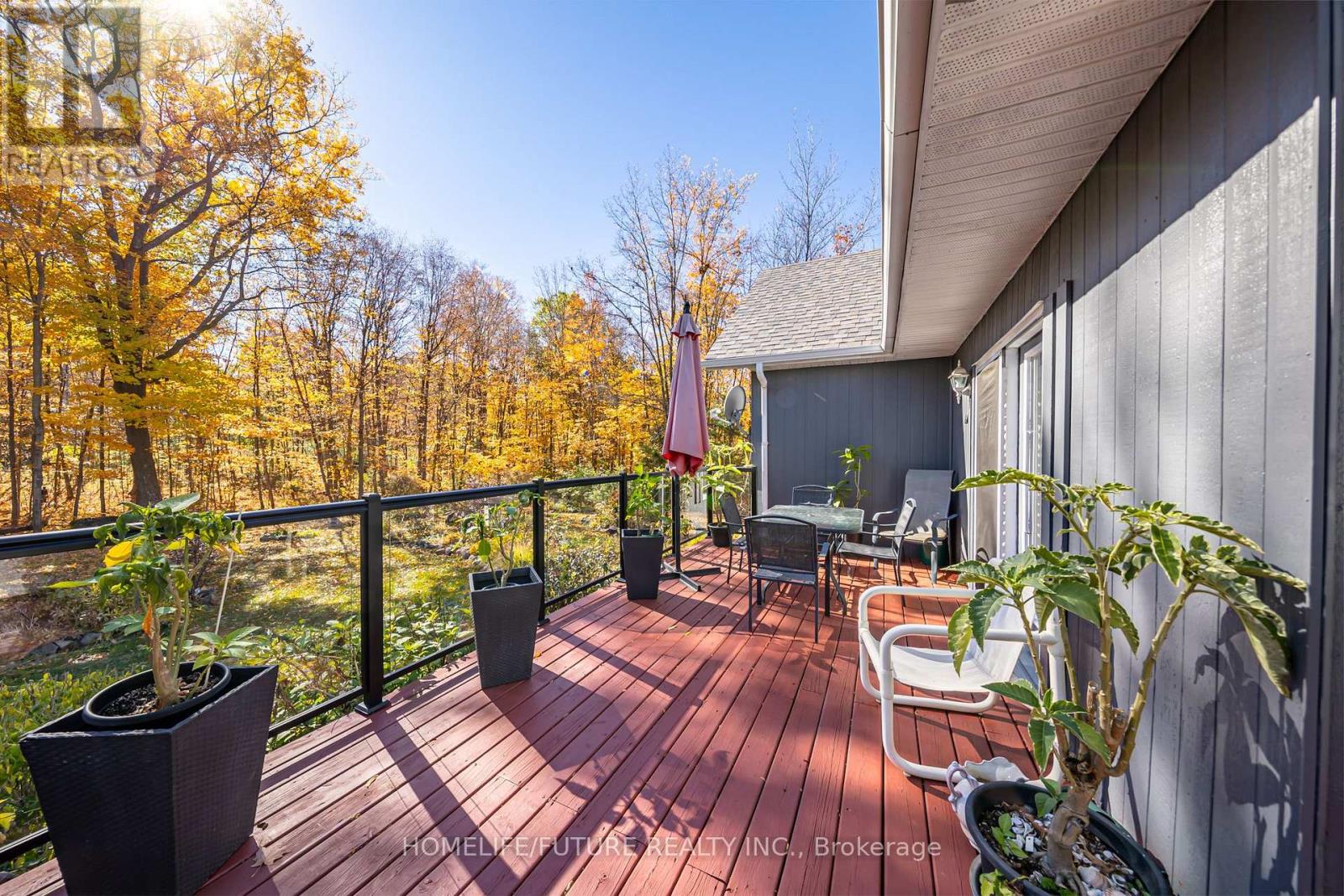 28 Woodlawn Drive, Trent Hills, ON photo 24