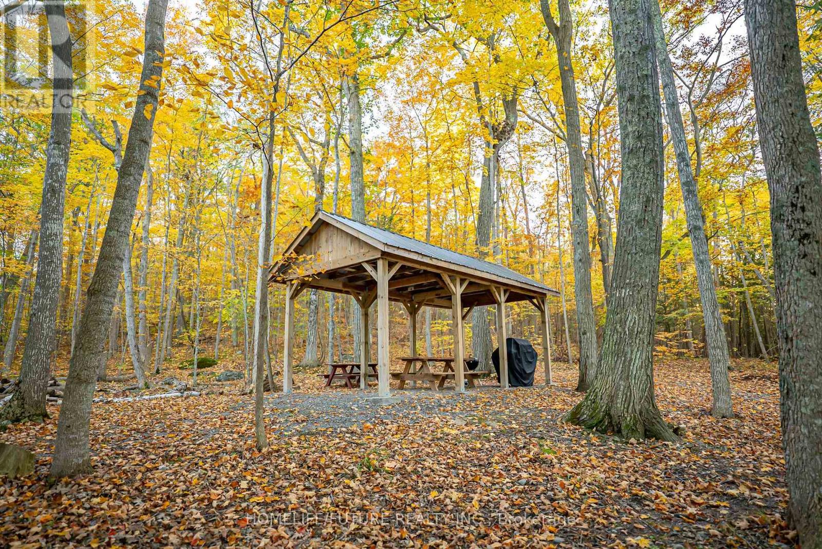 28 Woodlawn Drive, Trent Hills, ON photo 16