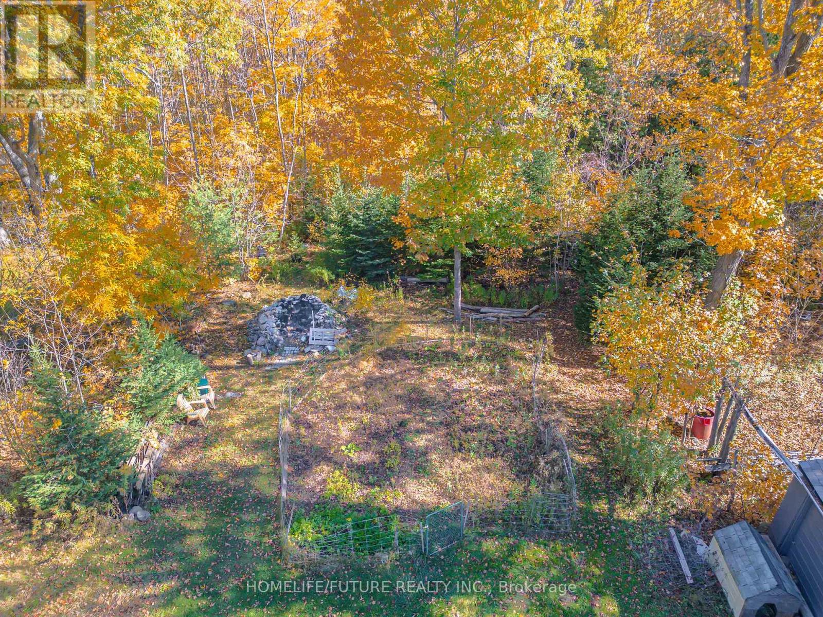 28 Woodlawn Drive, Trent Hills, ON photo 10