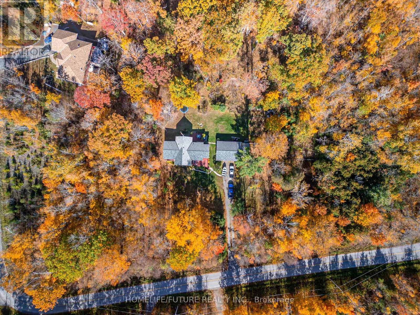 28 Woodlawn Drive, Trent Hills, ON photo 5