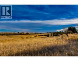 11 Idlewild Estates, Rural Rocky View County, AB T3Z1J1 Photo 43