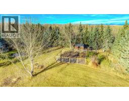 11 Idlewild Estates, Rural Rocky View County, AB T3Z1J1 Photo 38
