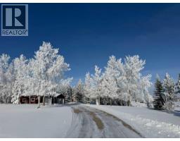 11 Idlewild Estates, Rural Rocky View County, AB T3Z1J1 Photo 47