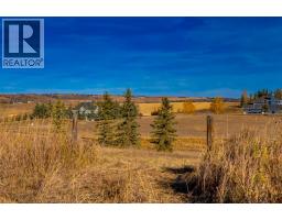 11 Idlewild Estates, Rural Rocky View County, AB T3Z1J1 Photo 42