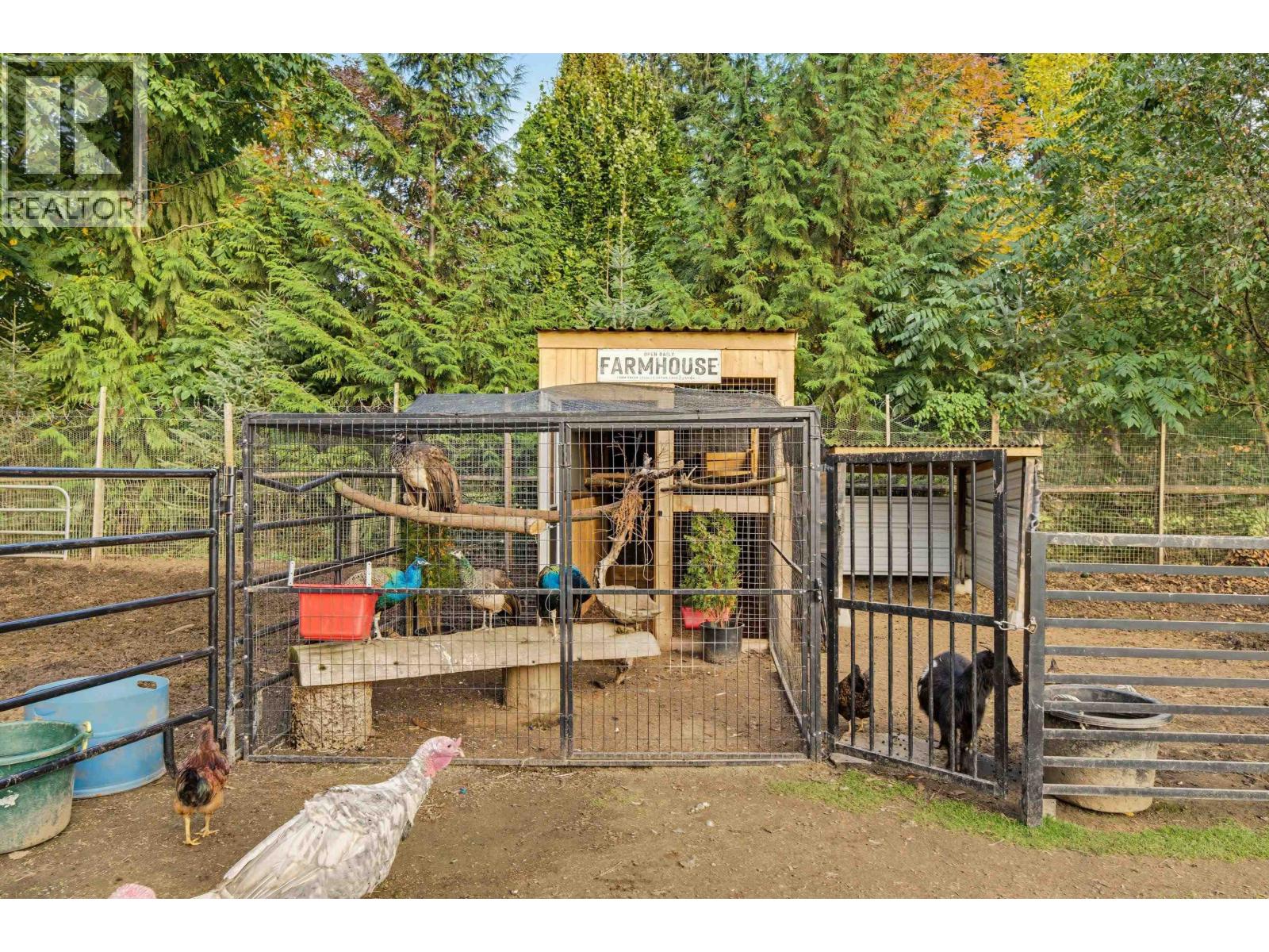 13124 Edge Street, Maple Ridge — photo 35