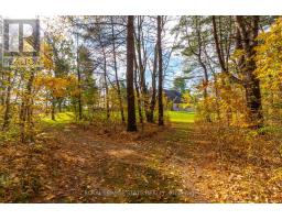 1043 Jerseyville Road W, Hamilton, ON L0R1R0 Photo 48