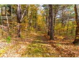1043 Jerseyville Road W, Hamilton, ON L0R1R0 Photo 49
