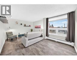 206, 314 14 Street Nw, Calgary, AB T2N1Z8 Photo 17