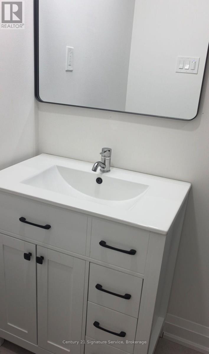 BASEMENT - 223 HICKLING TRAIL, Barrie (Grove East) — photo 5