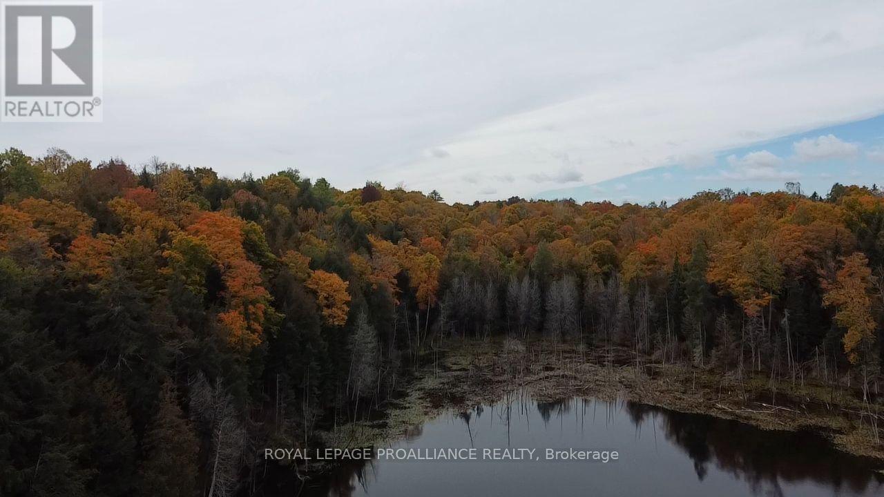 5069 Rd 506 Road, Frontenac, ON photo 20