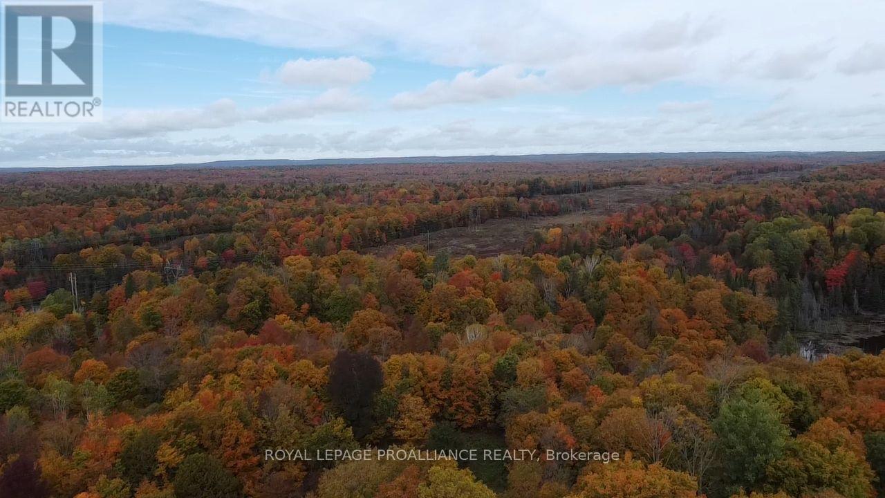5069 Rd 506 Road, Frontenac, ON photo 15