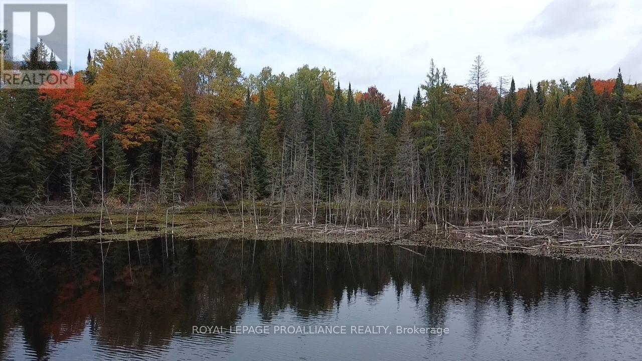 5069 Rd 506 Road, Frontenac, ON photo 18