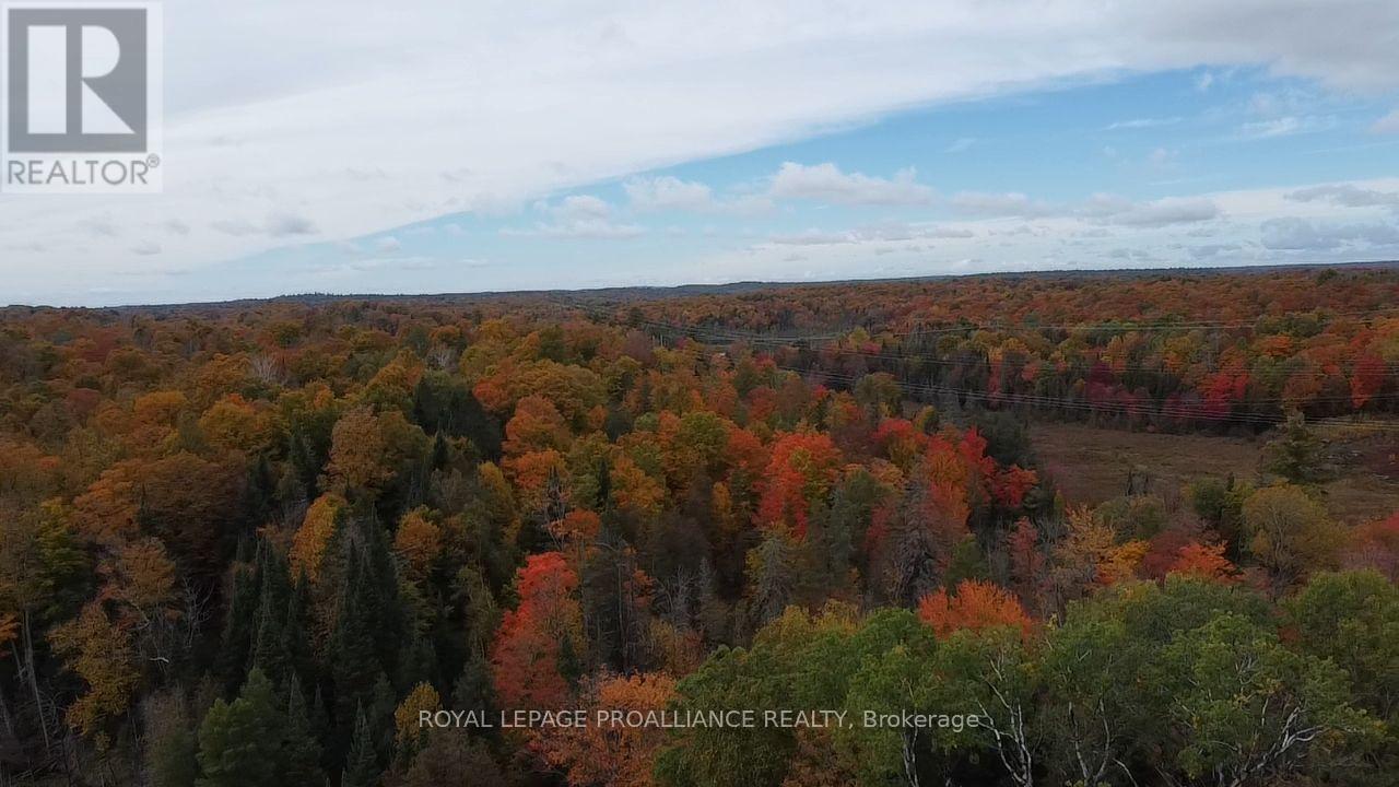 5069 Rd 506 Road, Frontenac, ON photo 22