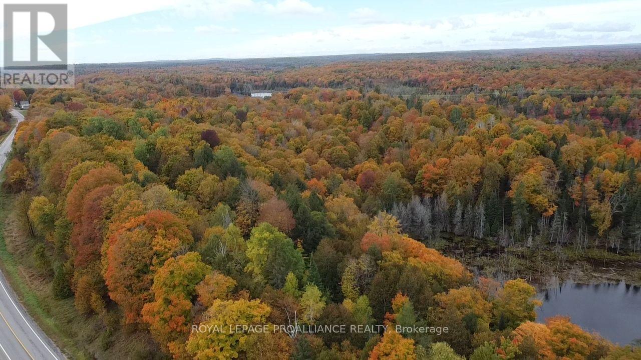 5069 Rd 506 Road, Frontenac, ON photo 5