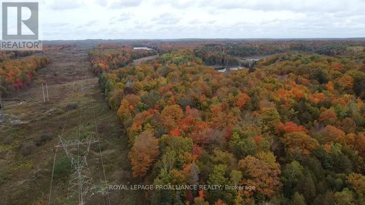 5069 Rd 506 Road, Frontenac, ON photo 7