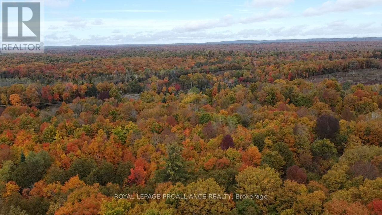 5069 Rd 506 Road, Frontenac, ON photo 6
