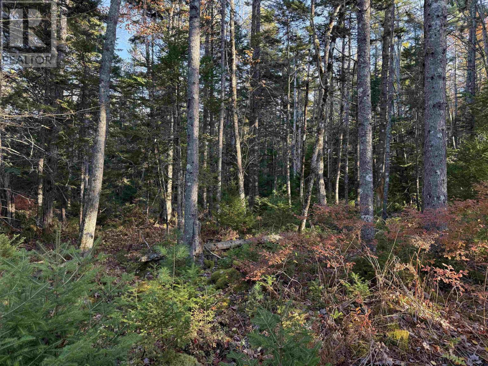 Lot 3 Sleepy Hollow Road, photo 6