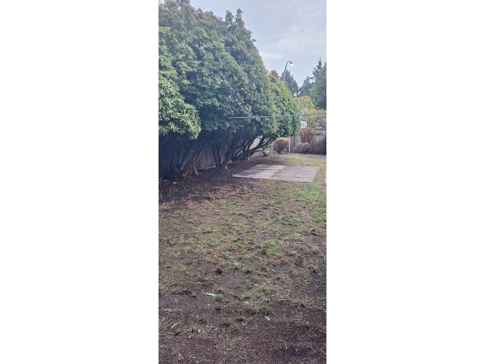 8454 116A Street, Delta — photo 24