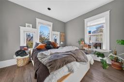 74 Balmoral Street, Winnipeg, MB R3C1X4 Photo 34