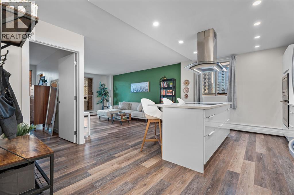 Modern kitchen and living room from entrance