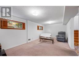 129 Cavell Avenue, Toronto, ON M8V1P5 Photo 41