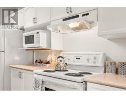 10 - 111 Colborne Street, Kawartha Lakes, ON K0M1N0 Photo 17