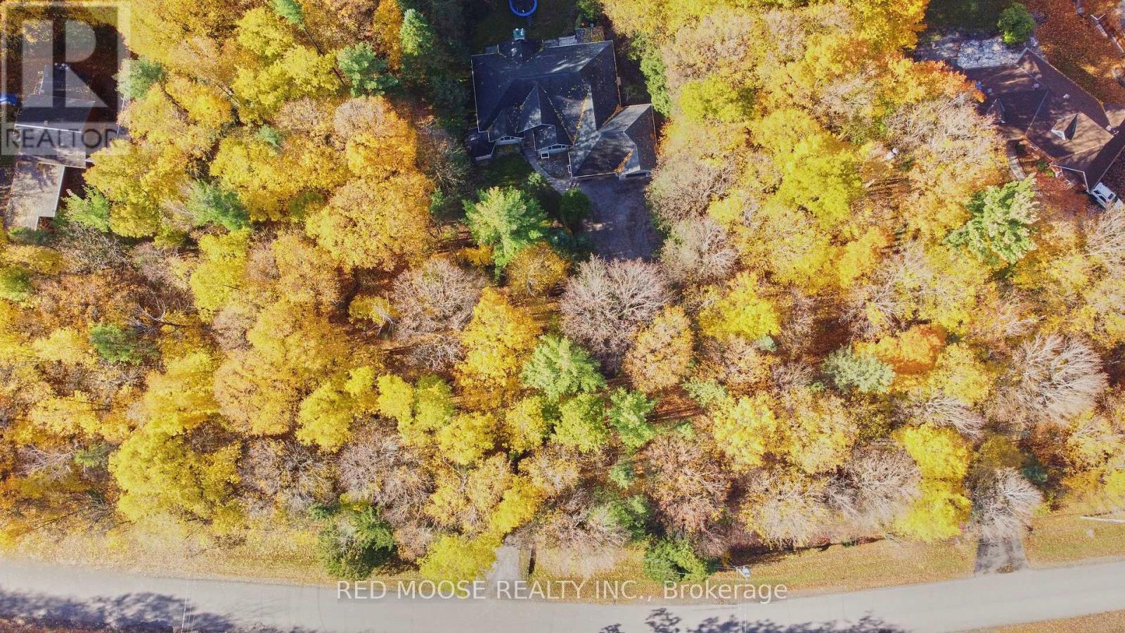 Nestled amongst the trees