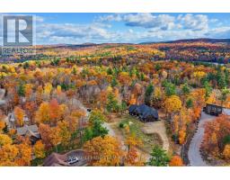 839 Barrett Chute Road, Greater Madawaska, ON K0J1H0 Photo 45