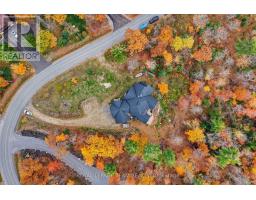 839 Barrett Chute Road, Greater Madawaska, ON K0J1H0 Photo 46