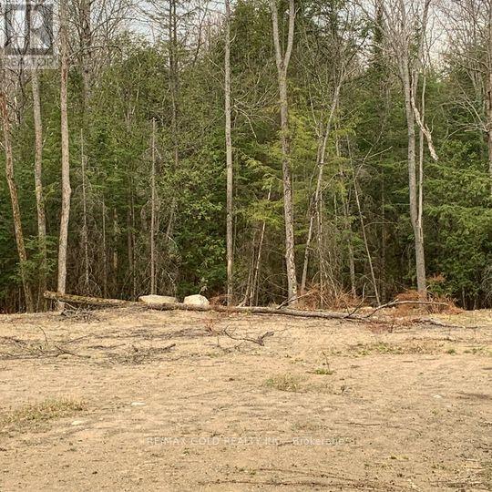 5 MOUNTAIN BASIN DRIVE, McDougall — photo 4
