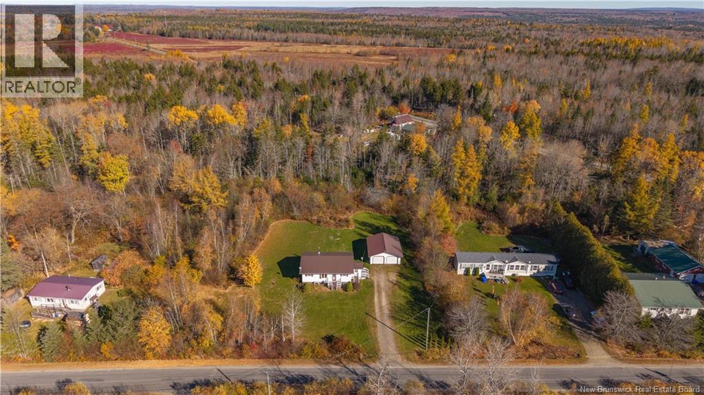 169 Murphy Road - 20