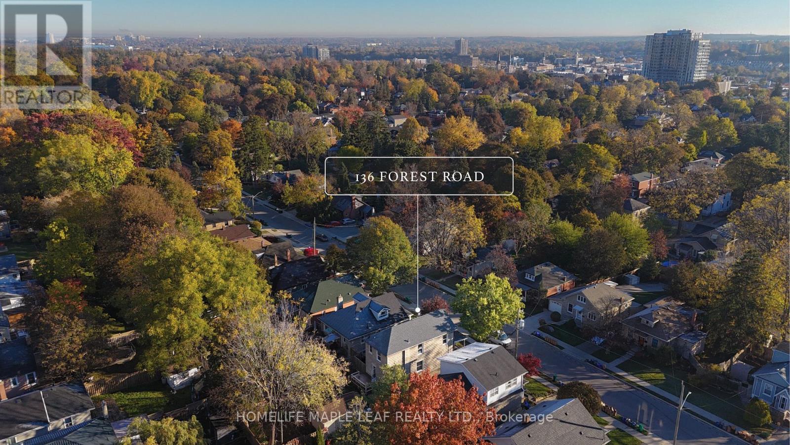 136 FOREST ROAD - 2