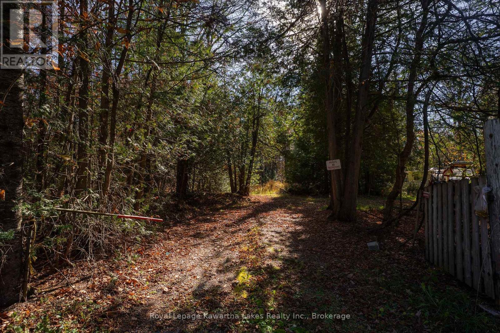 18 Hugill Road, Kawartha Lakes, ON photo 3
