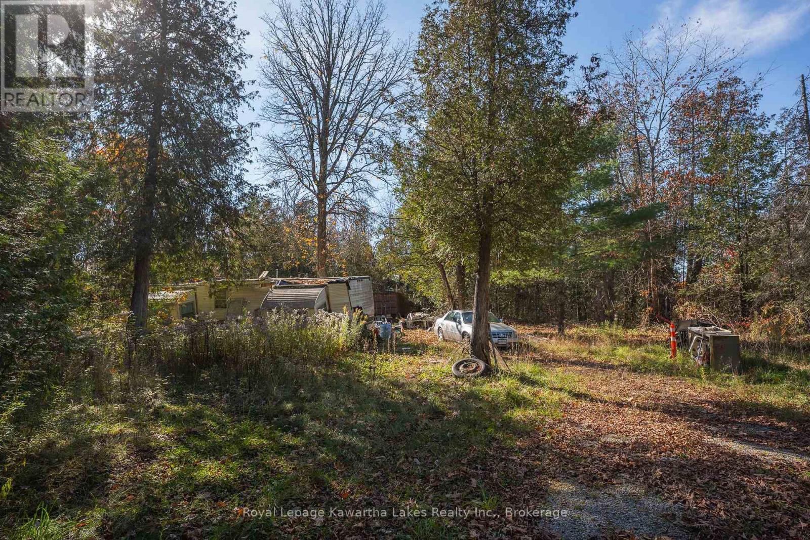 18 Hugill Road, Kawartha Lakes, ON photo 4