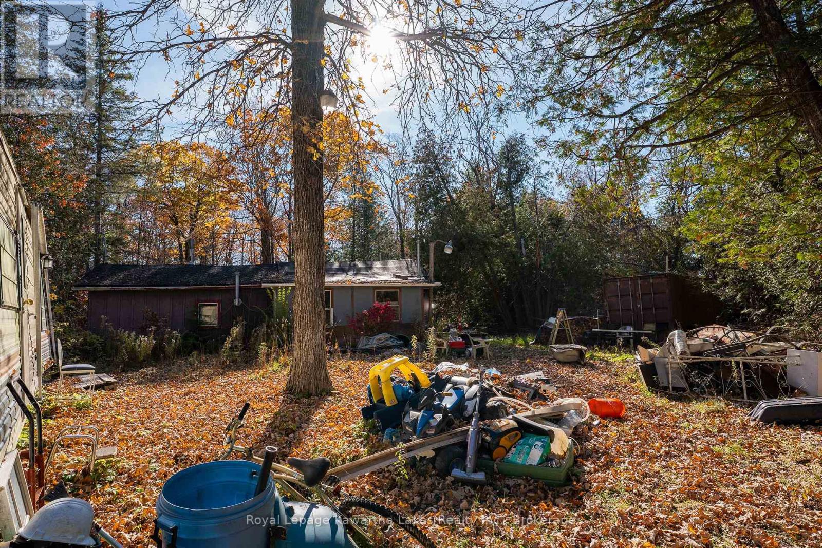 18 Hugill Road, Kawartha Lakes, ON photo 5