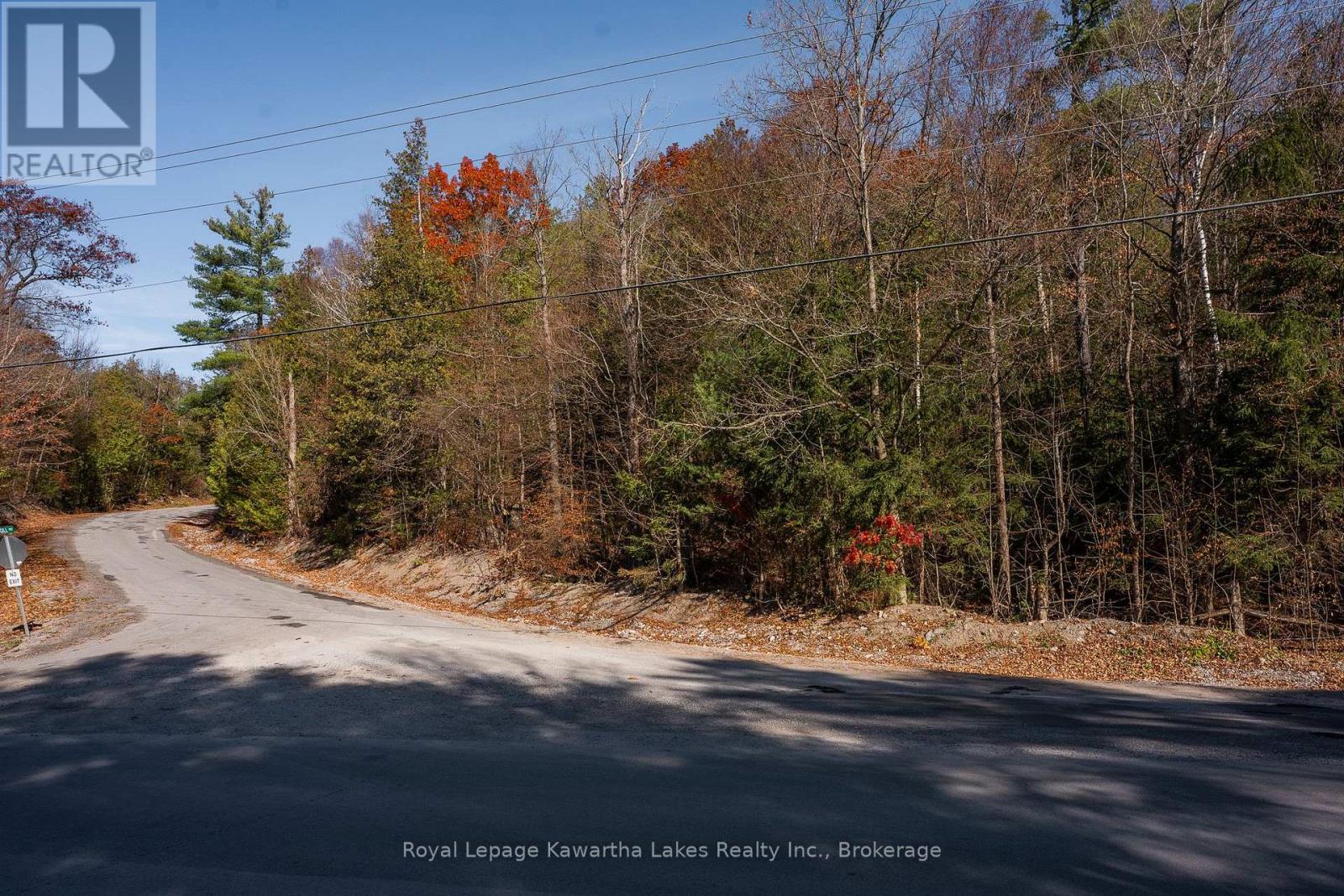 18 Hugill Road, Kawartha Lakes, ON photo 6