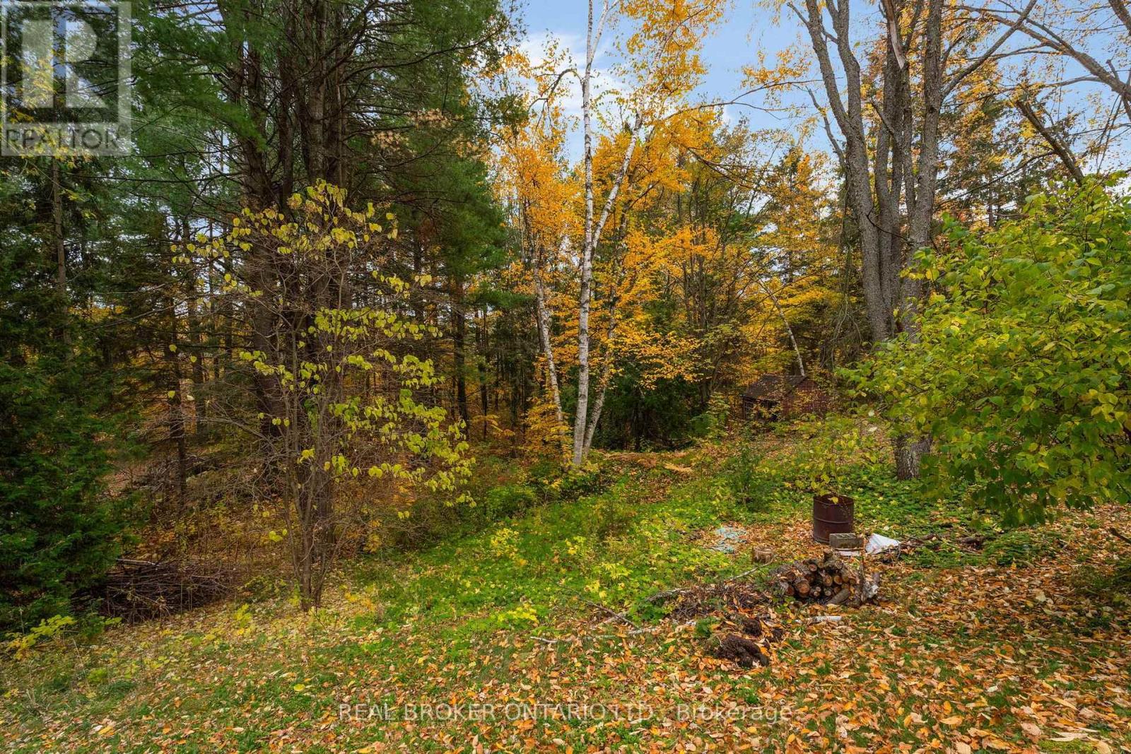 1159 Carson Road, Springwater, ON photo 43