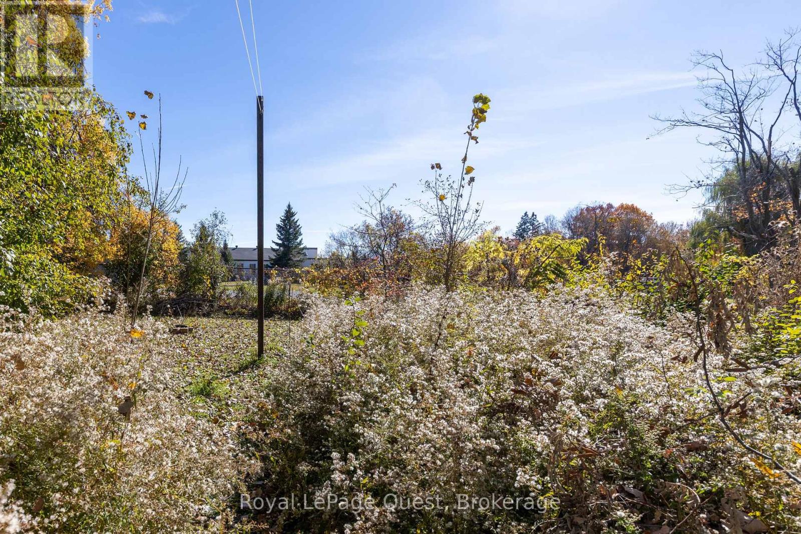 13 Grace Avenue, Orillia photo 8