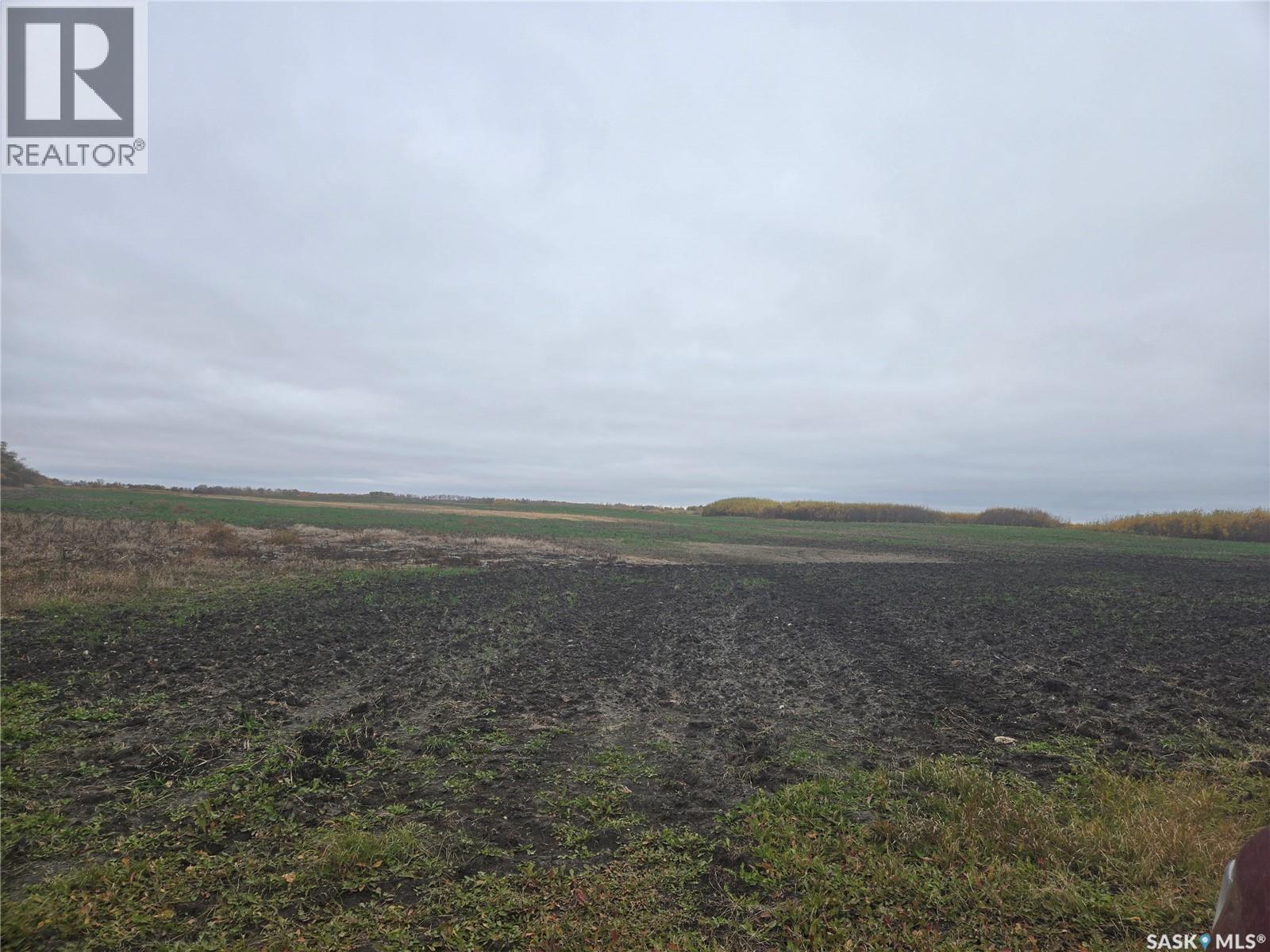 Goltz Farm, Orkney Rm No. 244 — photo 5