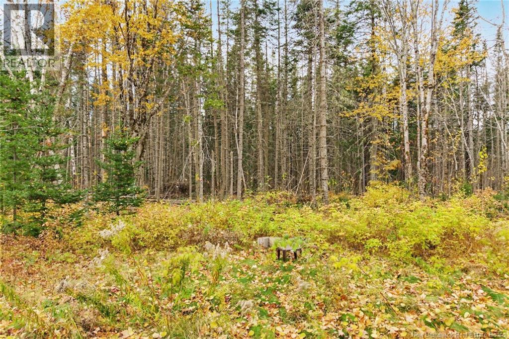 578 Bronson Settlement Road - 39