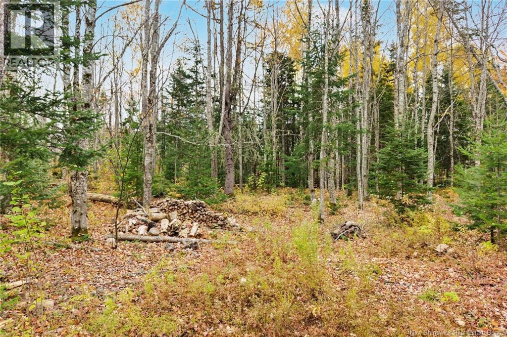 578 Bronson Settlement Road - 41