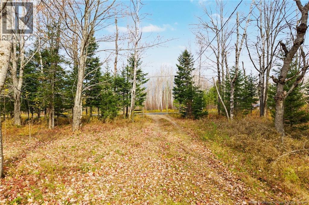 578 Bronson Settlement Road - 6